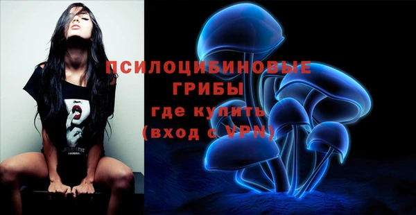 2c-b Абдулино