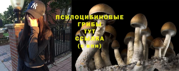 твердый Абинск