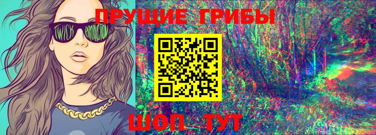 Псилоцибиновые грибы GOLDEN TEACHER Дивногорск