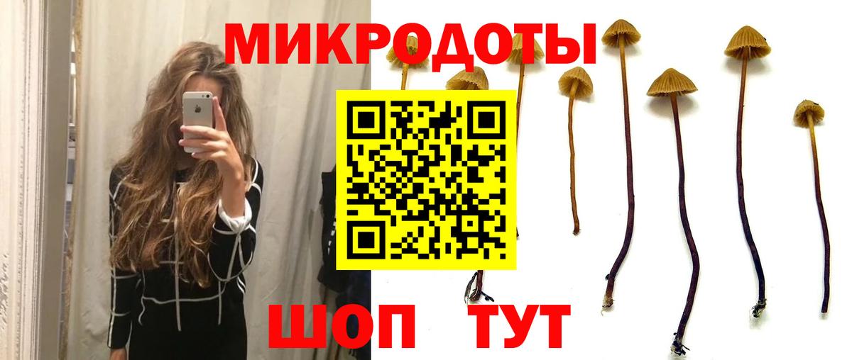 Псилоцибиновые грибы мицелий  наркота  Дивногорск  Вход с VPN 